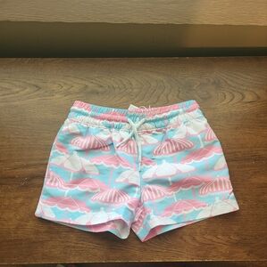 The Beaufort Bonnet Company Pink and Blue Kids Swim Trunks